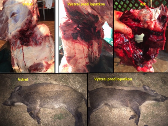 Norma Swift Scirocco2- 7rem. mag