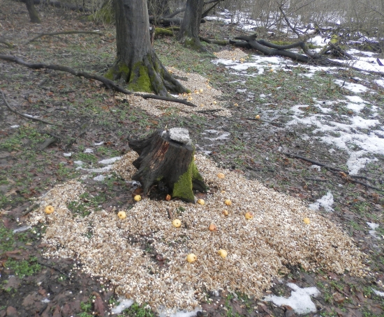 Aj to málo pomôže