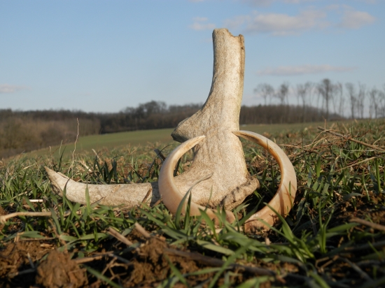 Kto si malé neuctí nech veľké nečaká ;)