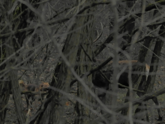 Niečo proti tomuto treba robiť