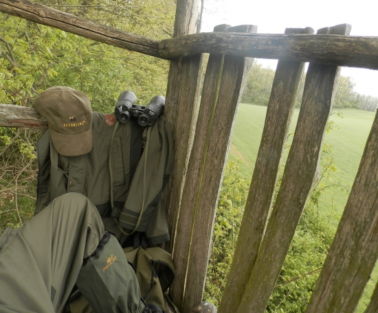 Dnešná idýlka na posede :3