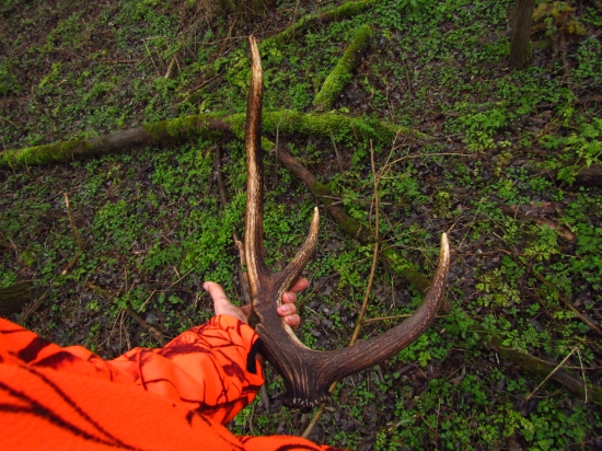 Dnešný zo spol. poľovačky