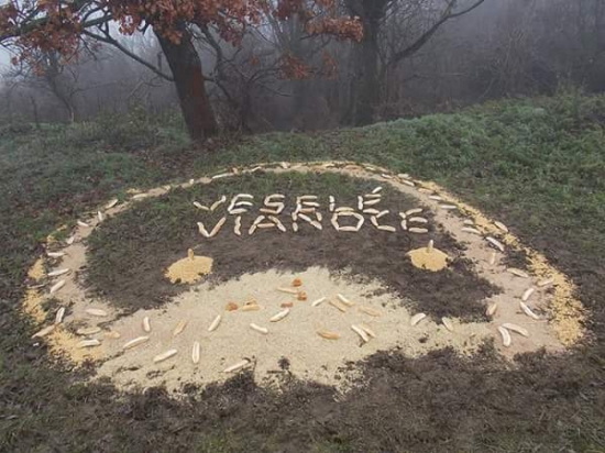 Veselé vianoce milé lesné živočíchy