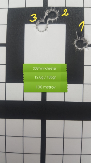 Lapua Mega 308w
