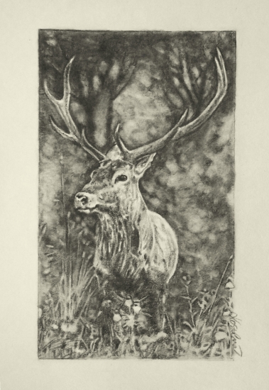 Práca mojej priateľky