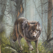 detail