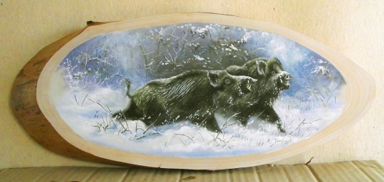 Diviaky podla Csiszára