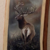Podvečer ruje