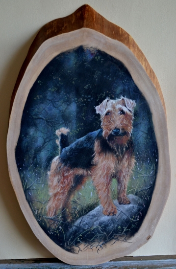 welsh terrier - portrét