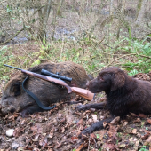 První vycházka s novou flintou
