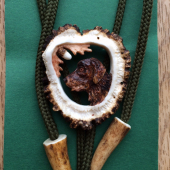 bolo od mistra Třmínka