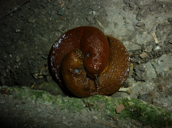 když dva se rádi mají