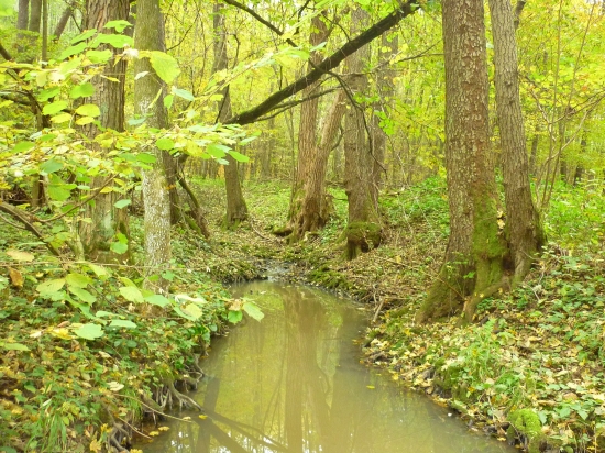 potůček