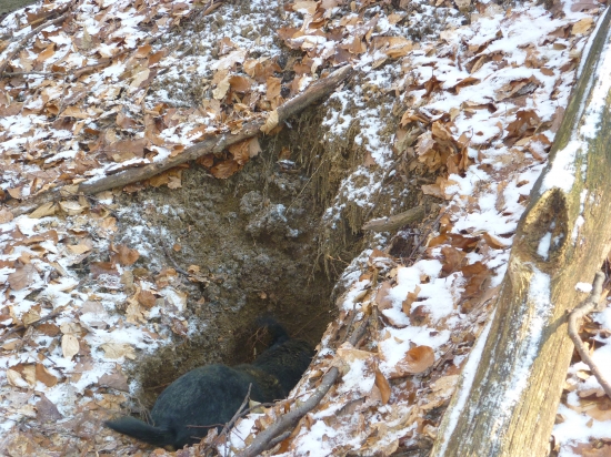 náš pracant v noře..