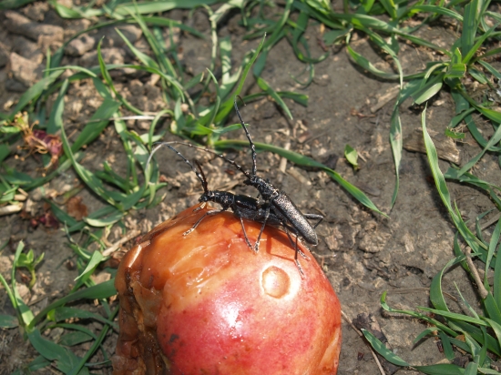 rodí sa nový život