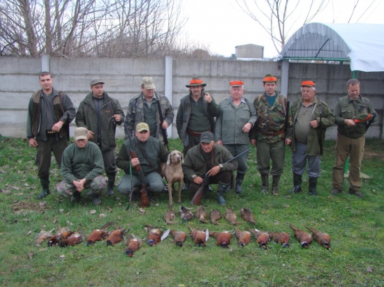 PZ Sokolce