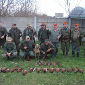 PZ Sokolce