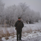 31.12.2010