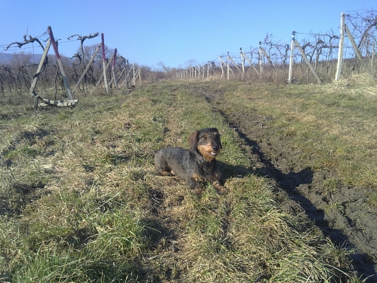 mam to pod kontrolou...