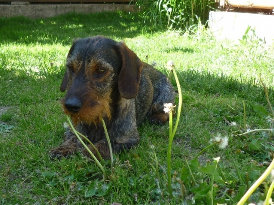 takto mi je najlepsie