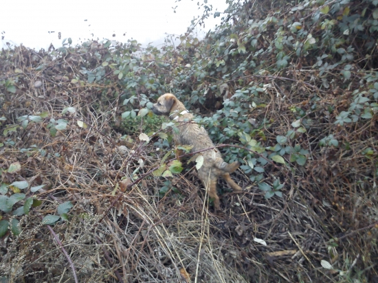 na prechadzke po reviri