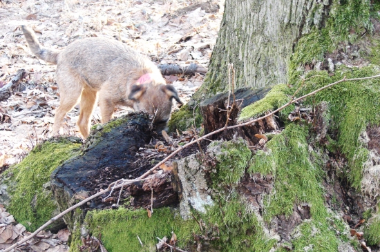 Co je to tam ???????????