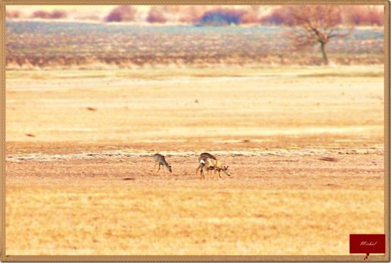 Dnes tam boli opäť!