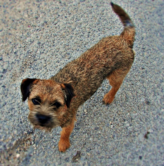 Uz na ceste domov......