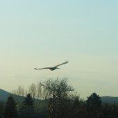 Tak si letel popri ceste!!!