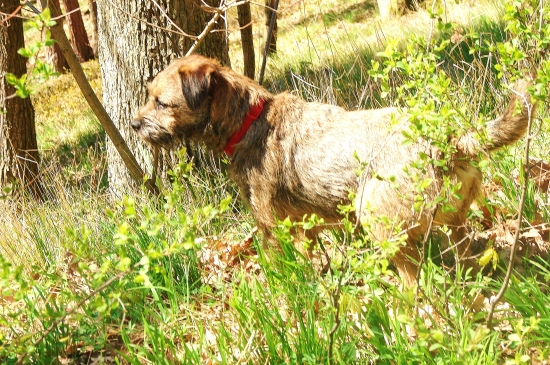 ...a nieco zavetrila...