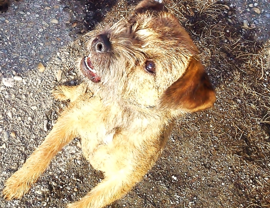 uz sa jej nevieme dockat:(