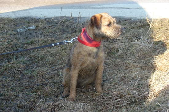 dnes mala asta skusky:)