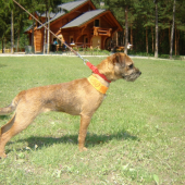 NAŠA ŠIKULKA!