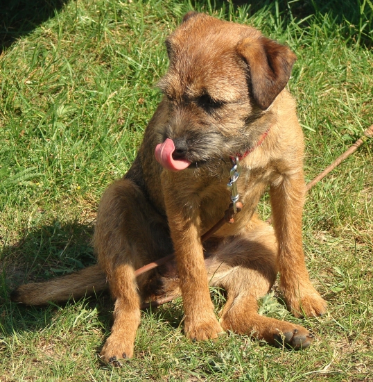 Co to mam na nufaku?