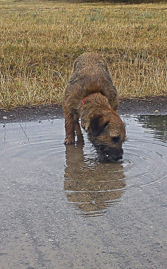 ...ako keby doma vody nemala...:)