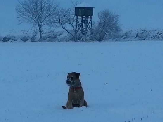 na dnesnej prechadzke