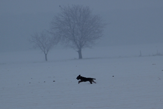 ...radost zo snehu....