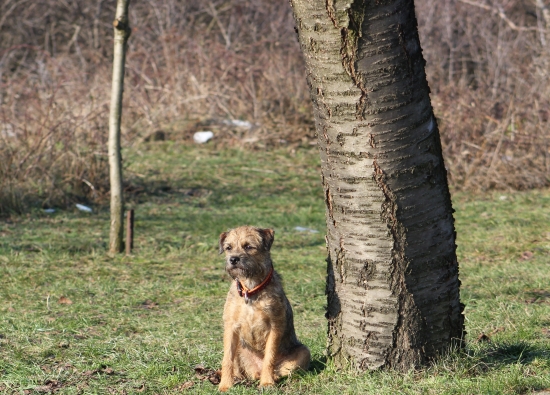 ked je chvilu v klude.....