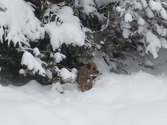 s astou v tatrach..;-)