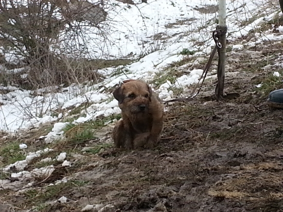 asta po celom dni brloharenia...