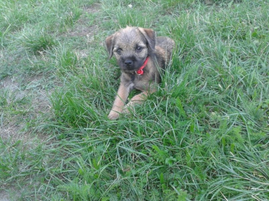 arwen od simku...10tyzdnou