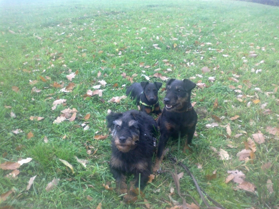 trio mata rabaru,jagosi spod molpira.....