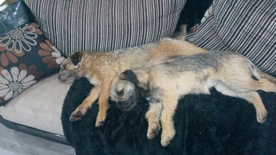 ked sa dostavy unava....