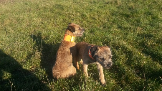 ....konecne pekny cas