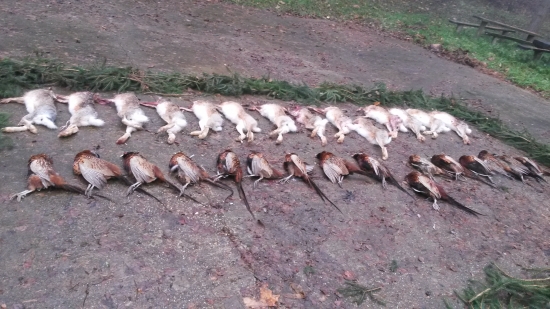 dnesna spolocna na drobnu