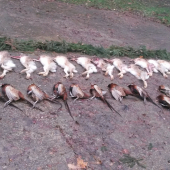 dnesna spolocna na drobnu