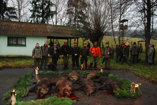 spolocna na diviaky 28.12.2013