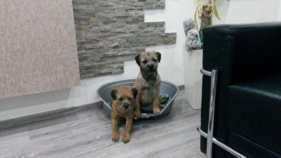 vsade dobre,doma naj...:-)