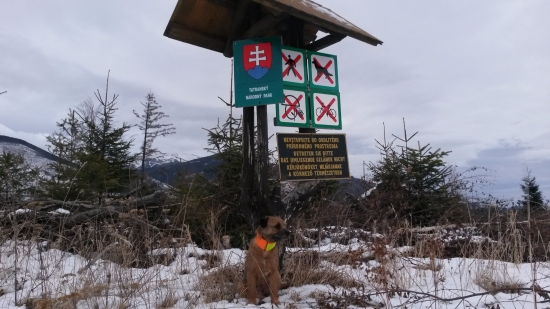 s astou v tatrach...