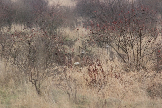 dorastenec s mamickou